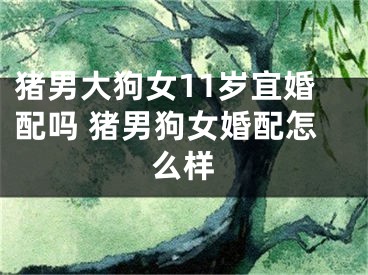 猪男大狗女11岁宜婚配吗 猪男狗女婚配怎么样