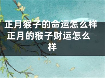 正月猴子的命运怎么样 正月的猴子财运怎么样