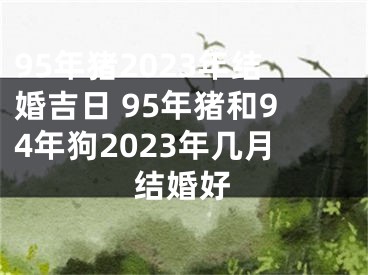 95年猪2023年结婚吉日 95年猪和94年狗2023年几月结婚好