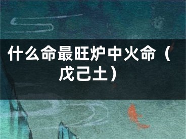 什么命最旺炉中火命（戊己土）