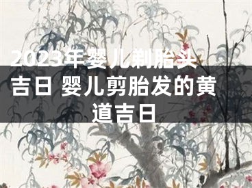 2023年婴儿剃胎头吉日 婴儿剪胎发的黄道吉日