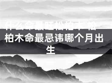 什么命最旺松柏木 松柏木命最忌讳哪个月出生 