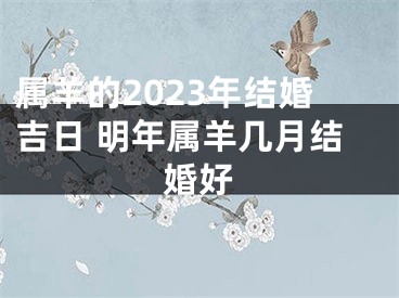属羊的2023年结婚吉日 明年属羊几月结婚好