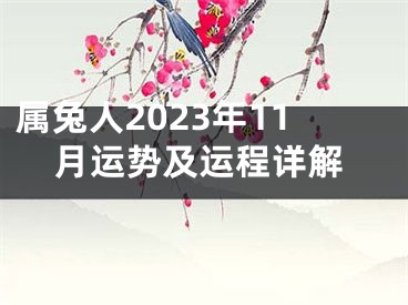 属兔人2023年11月运势及运程详解