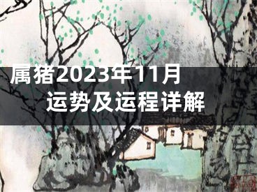 属猪2023年11月运势及运程详解