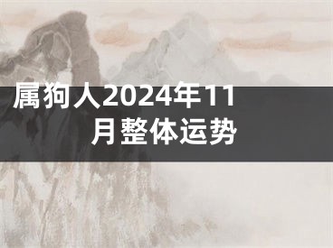 属狗人2024年11月整体运势