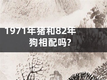 1971年猪和82年狗相配吗?