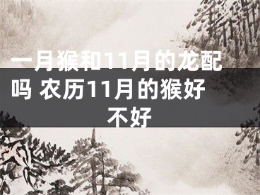一月猴和11月的龙配吗 农历11月的猴好不好