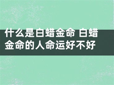 什么是白蜡金命 白蜡金命的人命运好不好 