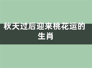 秋天过后迎来桃花运的生肖