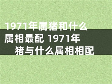 1971年属猪和什么属相最配 1971年猪与什么属相相配
