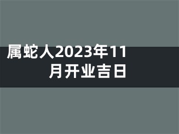 属蛇人2023年11月开业吉日