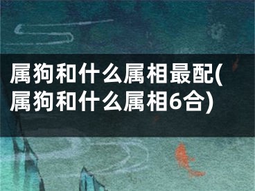 属狗和什么属相最配(属狗和什么属相6合)