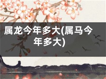 属龙今年多大(属马今年多大)
