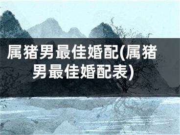 属猪男最佳婚配(属猪男最佳婚配表)