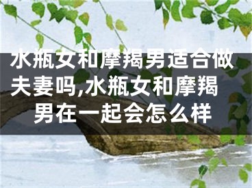 水瓶女和摩羯男适合做夫妻吗,水瓶女和摩羯男在一起会怎么样