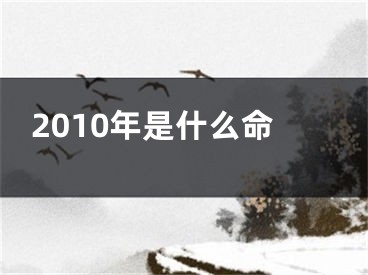 2010年是什么命