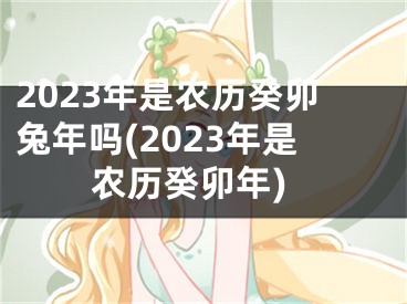 2023年是农历癸卯兔年吗(2023年是农历癸卯年)
