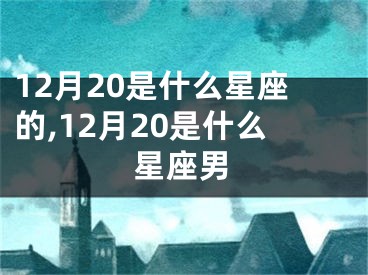 12月20是什么星座的,12月20是什么星座男