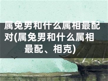 属兔男和什么属相最配对(属兔男和什么属相最配、相克)