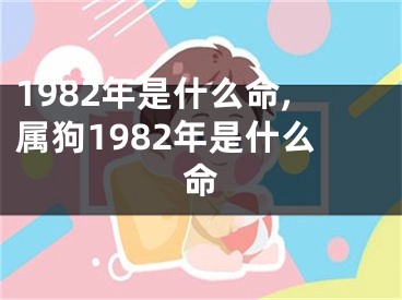 1982年是什么命,属狗1982年是什么命