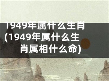 1949年属什么生肖(1949年属什么生肖属相什么命)