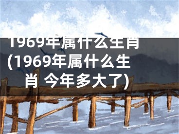 1969年属什么生肖(1969年属什么生肖 今年多大了)