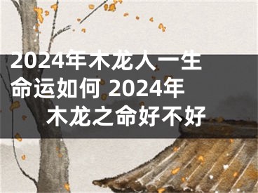 2024年木龙人一生命运如何 2024年木龙之命好不好