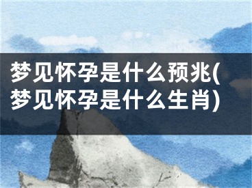 梦见怀孕是什么预兆(梦见怀孕是什么生肖)