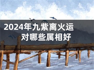 2024年九紫离火运对哪些属相好