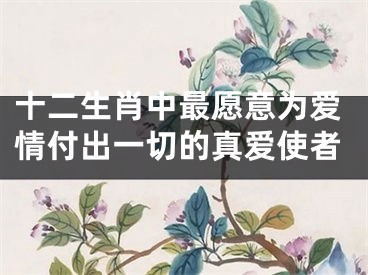 十二生肖中最愿意为爱情付出一切的真爱使者