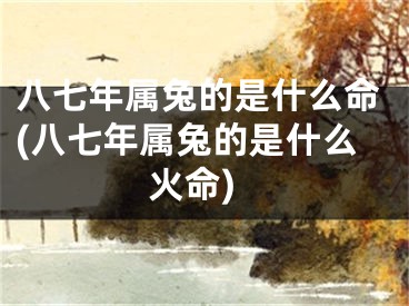 八七年属兔的是什么命(八七年属兔的是什么火命)