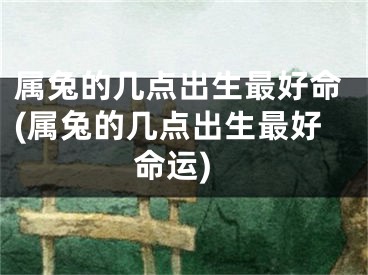 属兔的几点出生最好命(属兔的几点出生最好命运)