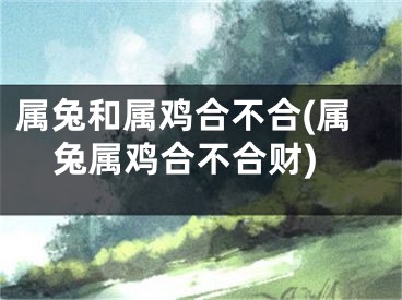 属兔和属鸡合不合(属兔属鸡合不合财)