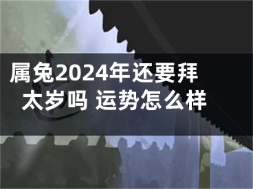 属兔2024年还要拜太岁吗 运势怎么样