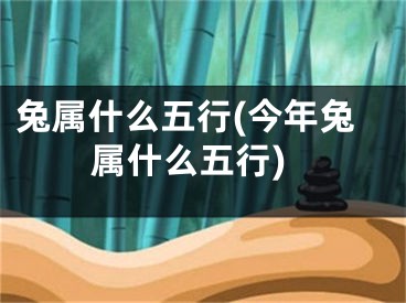 兔属什么五行(今年兔属什么五行)