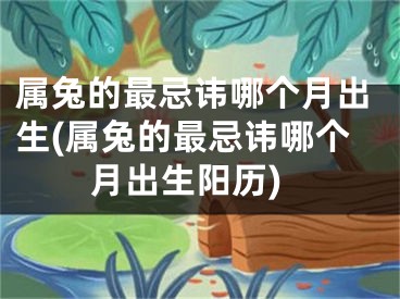 属兔的最忌讳哪个月出生(属兔的最忌讳哪个月出生阳历)