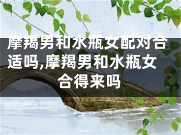 摩羯男和水瓶女配对合适吗,摩羯男和水瓶女合得来吗