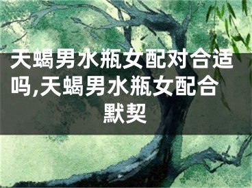 天蝎男水瓶女配对合适吗,天蝎男水瓶女配合默契
