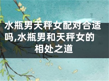 水瓶男天秤女配对合适吗,水瓶男和天秤女的相处之道