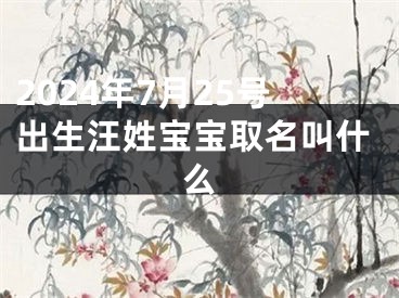 2024年7月25号出生汪姓宝宝取名叫什么