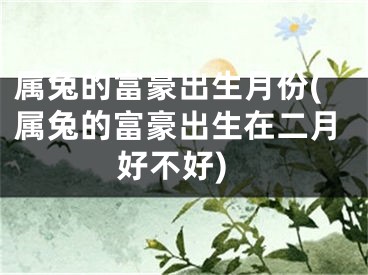 属兔的富豪出生月份(属兔的富豪出生在二月好不好)