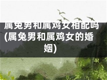 属兔男和属鸡女相配吗(属兔男和属鸡女的婚姻)