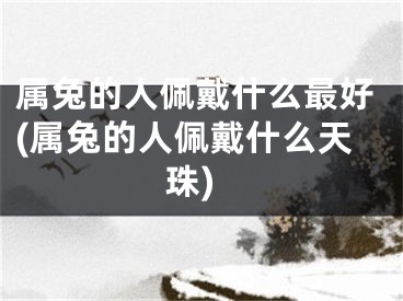 属兔的人佩戴什么最好(属兔的人佩戴什么天珠)