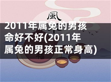 2011年属兔的男孩命好不好(2011年属兔的男孩正常身高)