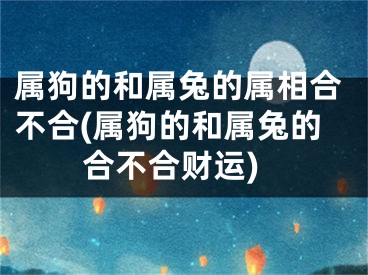 属狗的和属兔的属相合不合(属狗的和属兔的合不合财运)