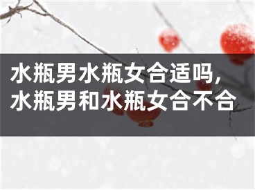 水瓶男水瓶女合适吗,水瓶男和水瓶女合不合