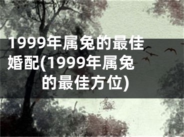 1999年属兔的最佳婚配(1999年属兔的最佳方位)