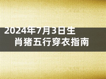 2024年7月3日生肖猪五行穿衣指南