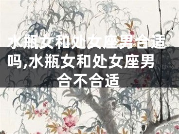 水瓶女和处女座男合适吗,水瓶女和处女座男合不合适